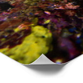 Laja Ampat Underwater Poster (Hoek)