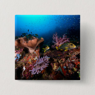 Laja Ampat Underwater Vierkante Button 5,1 Cm