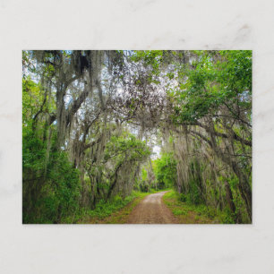 Lake Apopka Loop Trail, Florida Briefkaart