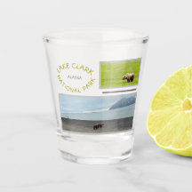 Lake Clark National Park Shot Glass