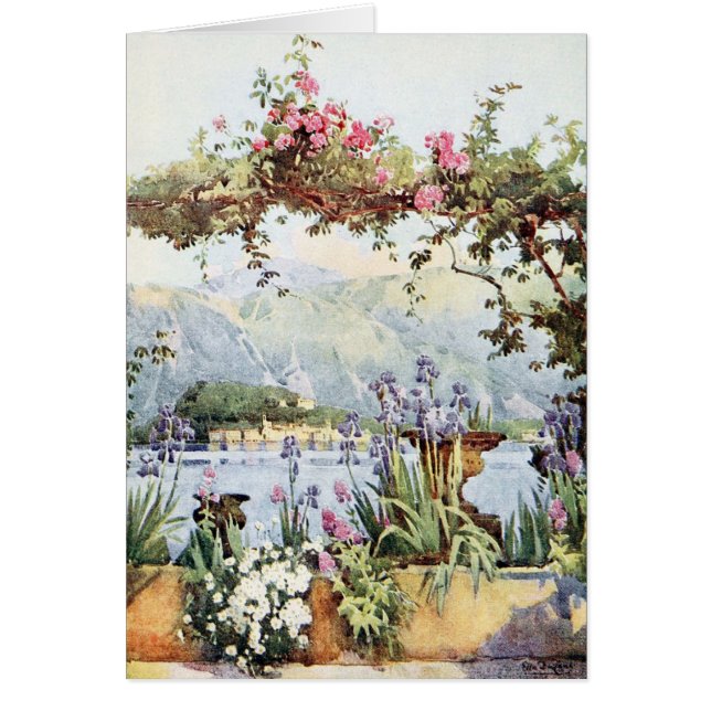 Lake Como Flowers (Voorkant)