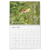 Lake County Forest Preserve 2021 Calendrier (Jan 2027)