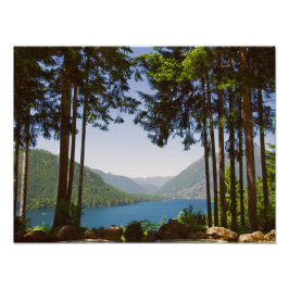 Lake Cushman Summer Print Foto Afdruk