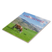 Lake District koeien grazen uitzicht keramische te Tegeltje (Zijkant)