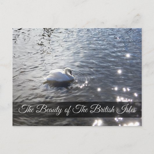 Lake District Swan Post Card Briefkaart (Voorkant)
