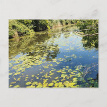 Lake Erie Metropark River Uitzicht