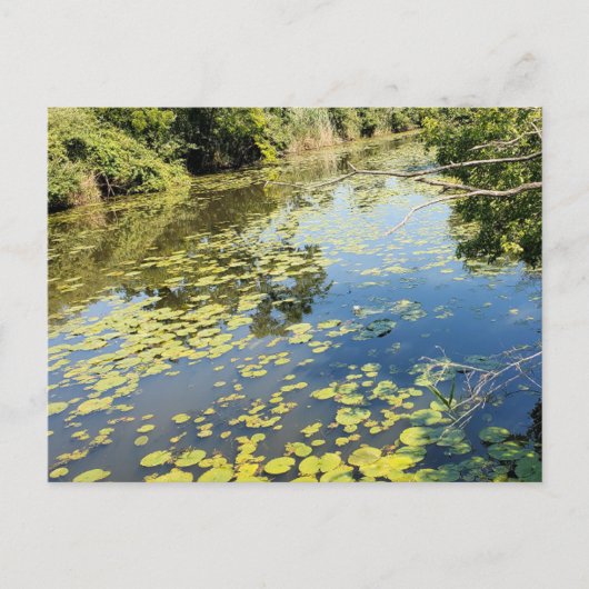 Lake Erie Metropark River Uitzicht Briefkaart (Voorkant)