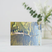 Lake Erie Metropark Turtle Log Horizontaal Briefkaart (Staand voorkant)