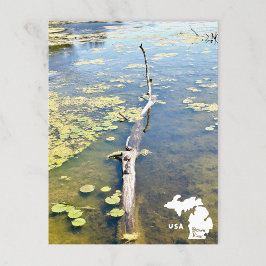 Lake Erie Metropark Turtle Log Horizontale Logo Briefkaart