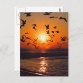 Lake Erie Sunset Briefkaart (Voorkant / Achterkant)