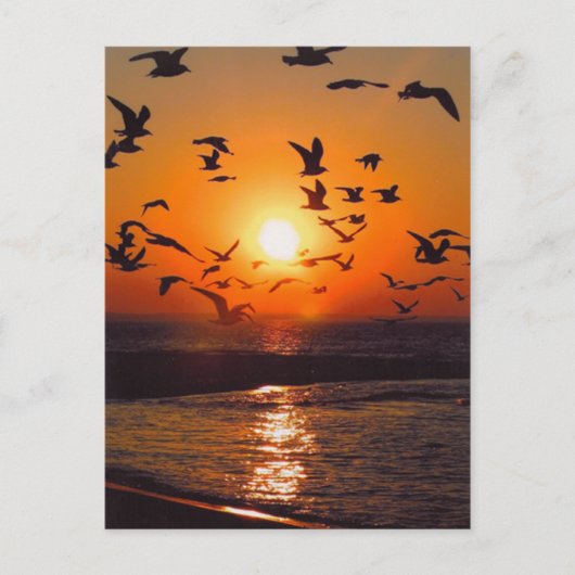 Lake Erie Sunset Briefkaart (Voorkant)