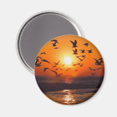 Lake Erie Sunset Magneet (Voorkant / Achterkant)