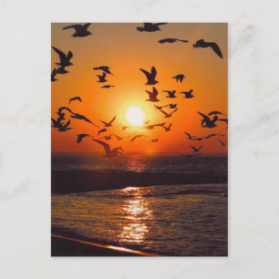 Lake Erie Zonsondergang Briefkaart