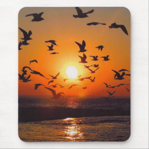 Lake Erie Zonsondergang Muismat