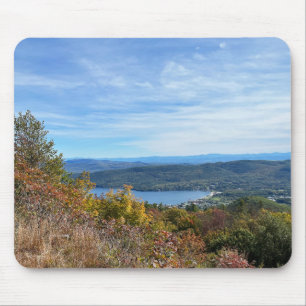 Lake George New York Muismat