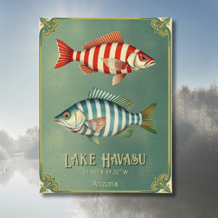 Lake Havasu Arizona nautische vis Briefkaart