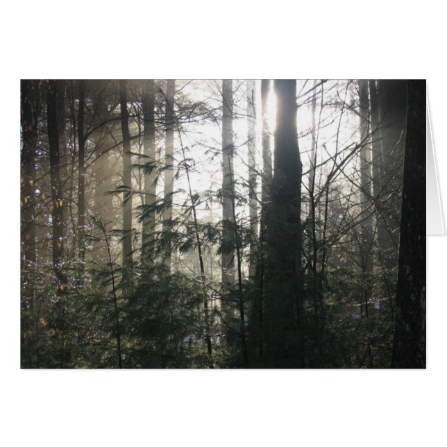 Lake Hill Winter, NY (Voorkant Horizontaal)