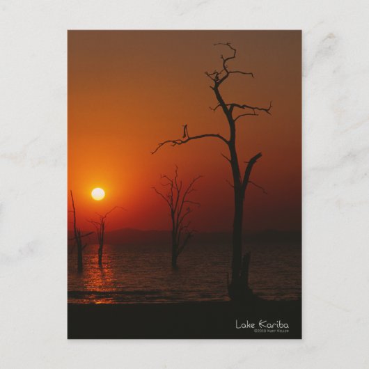 Lake Kariba Sunset Briefkaart (Voorkant)