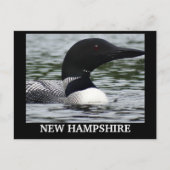 Lake Loon close-up foto Briefkaart (Voorkant)