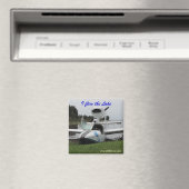 Lake Magnet Magneet (Insitu (Vaatwasser))