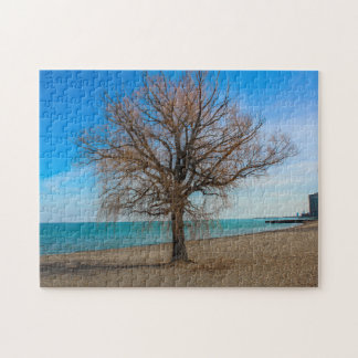 Lake Michigan Chicago Beach Puzzle Legpuzzel