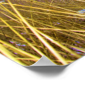 Lake Michigan Dune Grass Poster (Hoek)