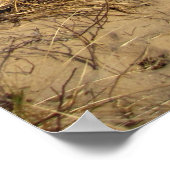 Lake Michigan Poster (Hoek)