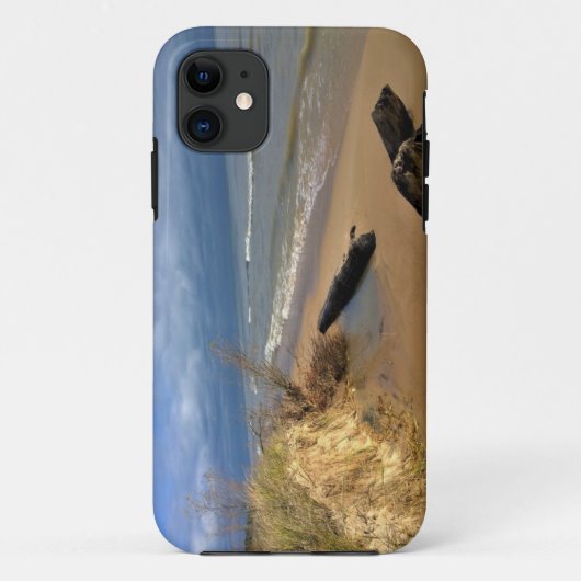 Lake Michigan, Sheboygan, Wisconsin Case-Mate iPhone Case (Achterkant)