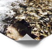 Lake Michigan Shore Poster (Hoek)