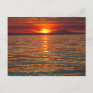 Lake Michigan Sunset Postcard Briefkaart