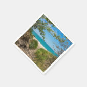 Lake Michigan Tranquility Servetten (Hoek)