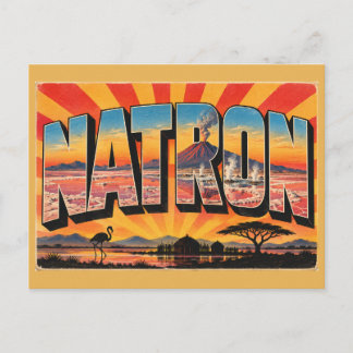 Lake Natron Flamingo Vulkanische Reis Kunst Briefkaart