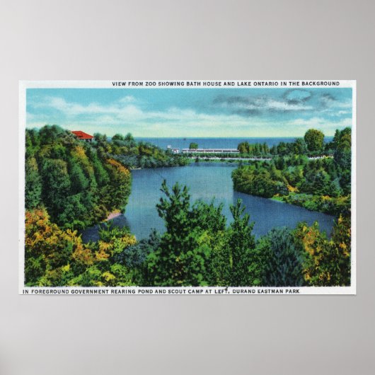 Lake Ontario & Durand Eastman Park Poster (Voorkant)