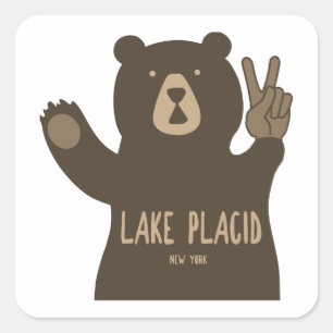 Lake Placid New York Peace Beer Vierkante Sticker