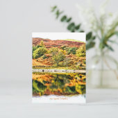 LAKE REFLECTIONS WALES UK BRIEFKAART (Staand voorkant)