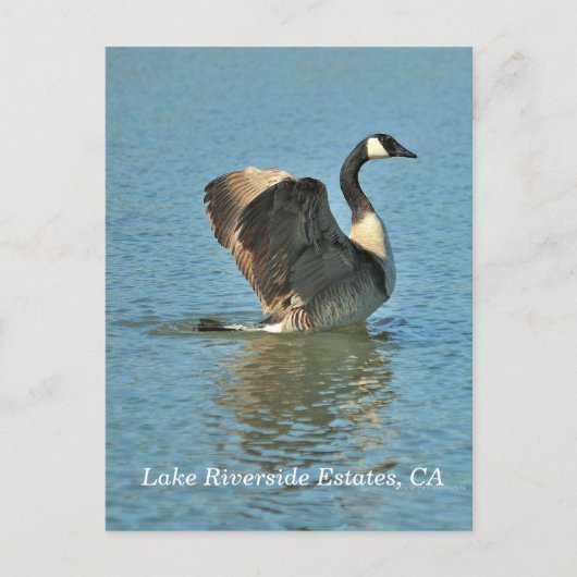 Lake Riverside Estates, CA Briefkaart (Voorkant)