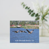 Lake Riverside Estates, carte postale CA (Debout devant)