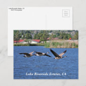 Lake Riverside Estates, carte postale CA (Devant / Derrière)