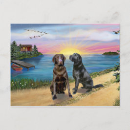 Lake Road - Twee labrador retrievers (Choc-Block) Briefkaart