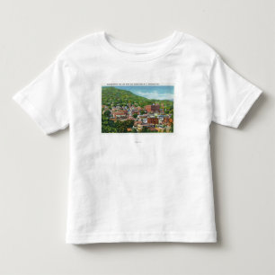 Lake Street Hill Uitzicht van Business Section Kinder Shirts