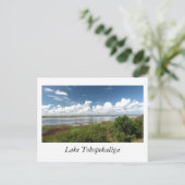 Lake Tohopekaliga Florida Briefkaart (Staand voorkant)