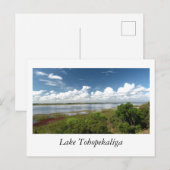 Lake Tohopekaliga Florida Briefkaart (Voorkant / Achterkant)