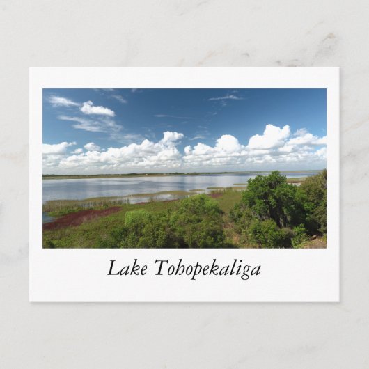Lake Tohopekaliga Florida Briefkaart (Voorkant)
