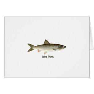 Lake Trout Artwork