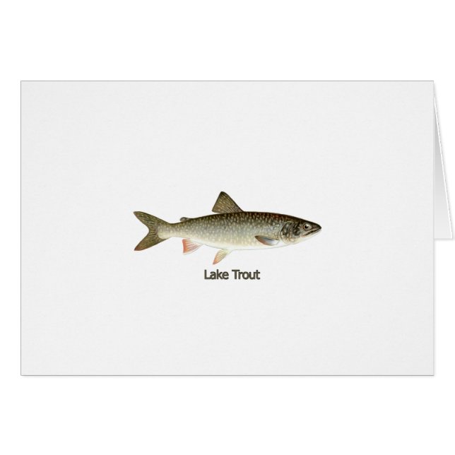 Lake Trout Artwork (Voorkant Horizontaal)