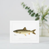 Lake Trout Briefkaart (Staand voorkant)