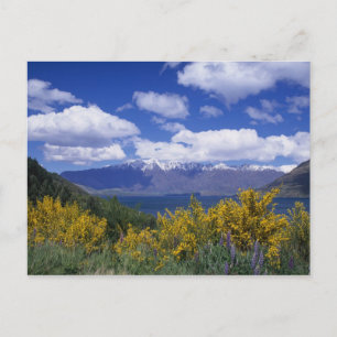 Lake Wakatipu en The Remarkables, Queenstown, Briefkaart