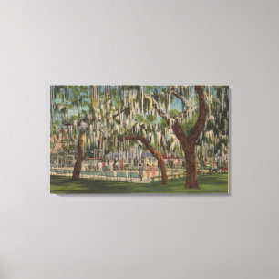 Lake Wales, FL - Uitzicht buitenshuis van Shuffleb Canvas Afdruk