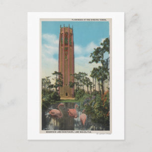 Lake Wales, FL - Uitzicht van Singing Briefkaart