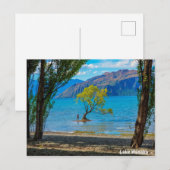 Lake Wanaka Nieuw-Zeeland Briefkaart (Voorkant / Achterkant)